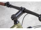 DAILY QUEST Pinion City- und Alltagsvelo / grün / 58 CM