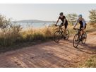 SIRRUS X 4.0 EQ City- und Alltagsvelo / satin oak green metallic black reflective / L