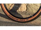RACING RAY Evo Super Race Hinterrad- Reifen / bronze side / 29" x 2.25, 57-622, Falrtreifen, TLE