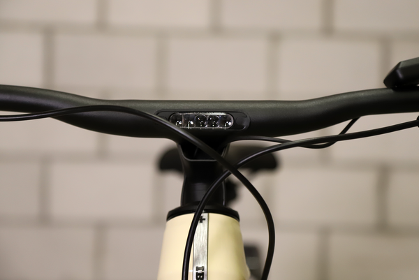 E-Bike EFAT FRANK GT 45 km/h / creme glanz / S