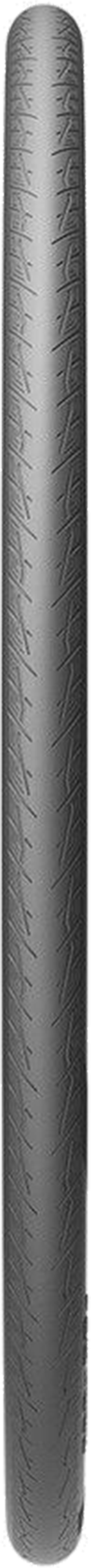 CINTURATO ROAD ITALY Reifen / black / 700x26c, 26-622