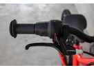 FLiZZi 20 RIEMEN Kindervelo / rot / 20 ZOLL