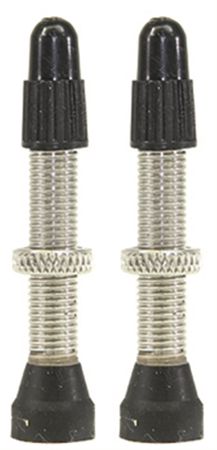 TUBELESS-VENTILE silber (Paar) / silber