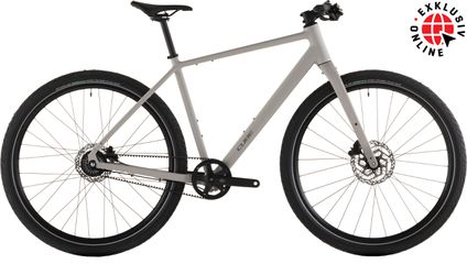 EDITOR PRO City- und Alltagsvelo / oatgrey / 54 CM