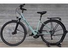UBARI DELUXE TIE City- und Alltagsvelo / moreagrün / S