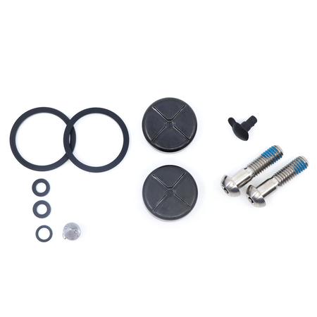 Disc Brake Caliper Piston Kit, Red AXS D1