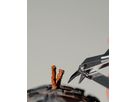 HASSLE'OFF Multitool, 20+ Funktionen / schwarz / 20+ Funktionen