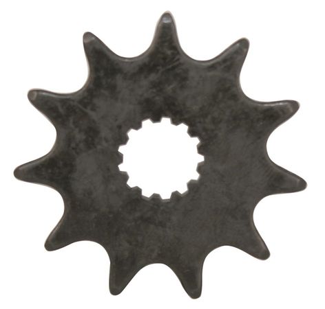 FLYER Motorritzel 10 Zähne / schwarz / 10 Zähne