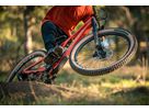 BUTCHER GRID TRAIL T9 Enduro-Reifen / soil searching (tanwall) / 27.5" X 2.60"
