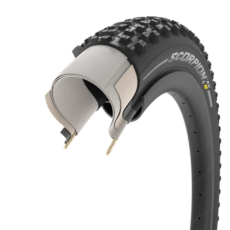 Scorpion XC M 29x2.20 ProWall Classic / black/para sidewall / 29x
