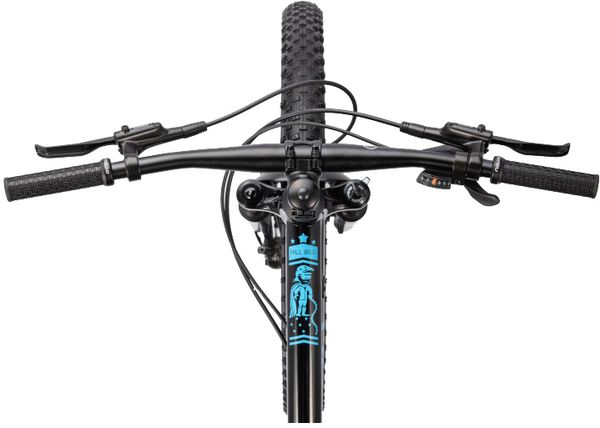 HILL BILL 26 MK2 Jugendvelo / black / 26 ZOLL