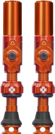 Tubeless Valves Big Bore Hybrid / Orange / 65 mm