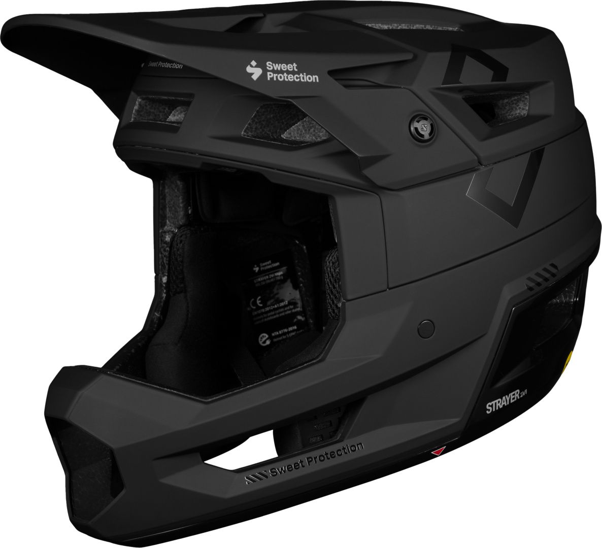 Strayer 2Vi Mips Helmet / matte black / ML