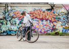 eFAT FRANK NEO+ E-Bike 45km/h / midnight blue / 41 CM