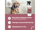 Bio-Chem Geruchs- und Fleckenentferner