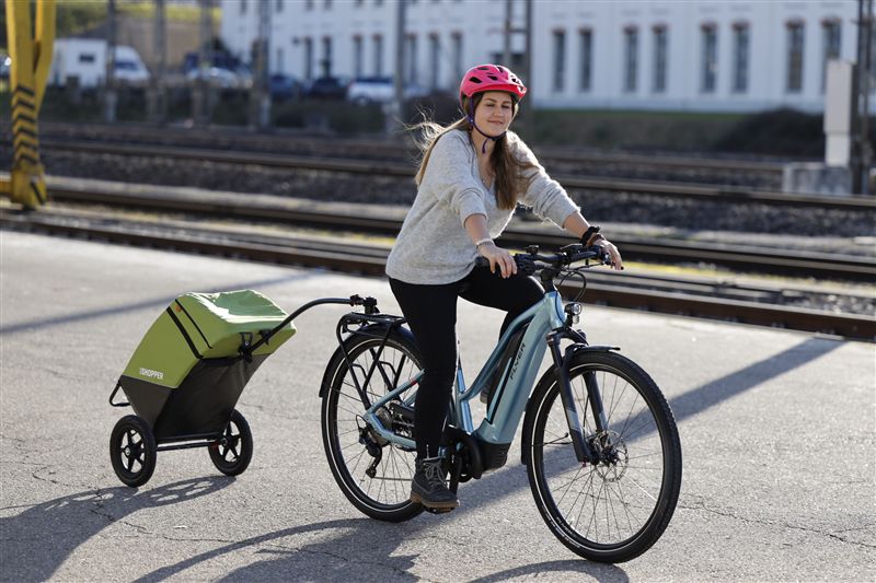 VELOSHOPPER Einkaufswagen / grün