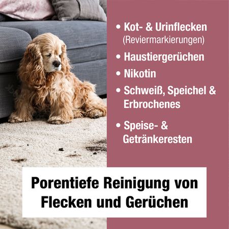 Bio-Chem Geruchs- und Fleckenentferner