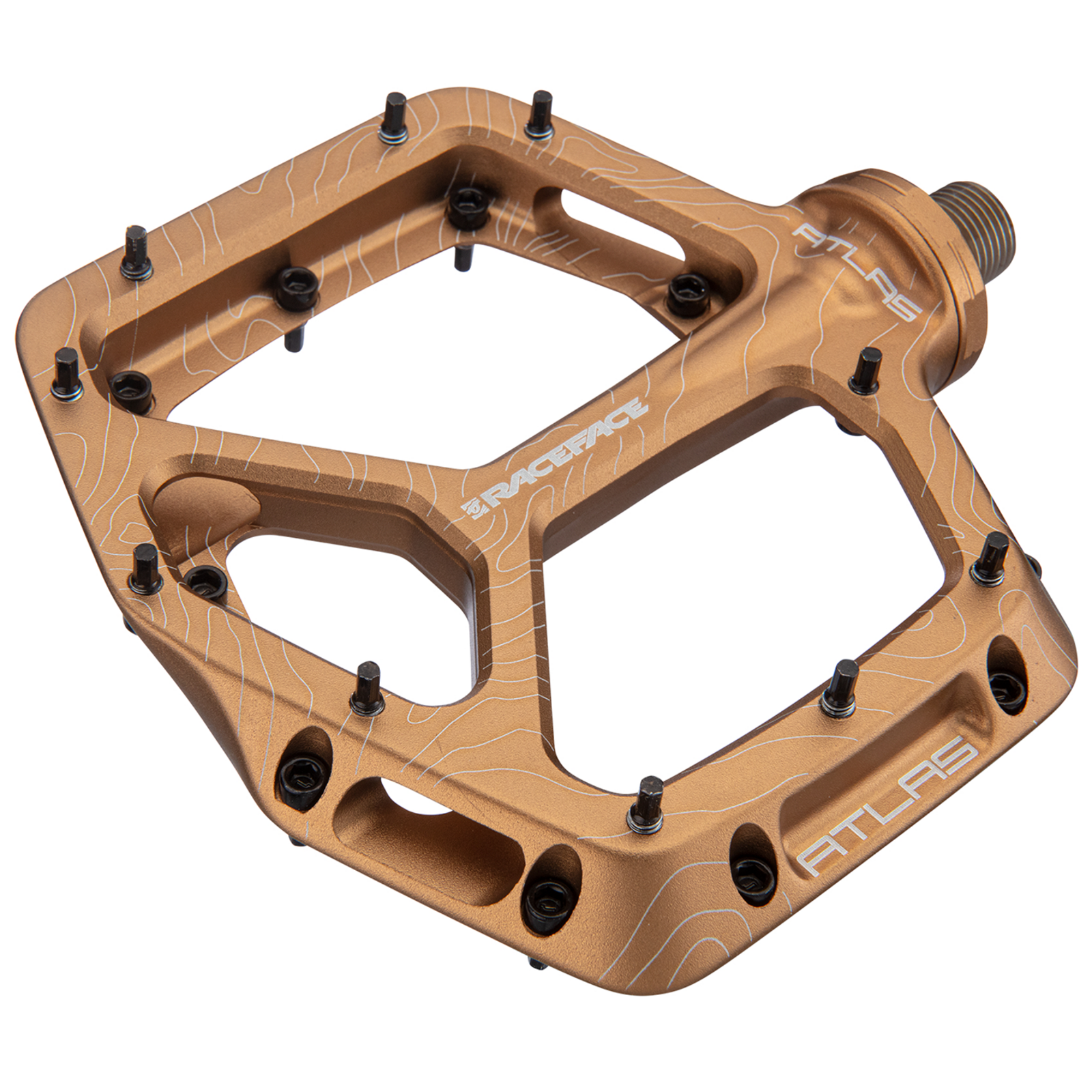 Atlas Pedal / kashmoney gold / one size