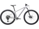 ROCKHOPPER EXPERT 27.5 Jugendvelo / satin silver dust smoke / S
