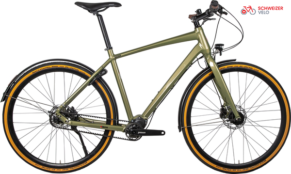 DAILY QUEST Pinion City- und Alltagsvelo / grün / 58 CM