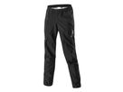 ACTIVE GTX Herren-Regenhose / schwarz / 60