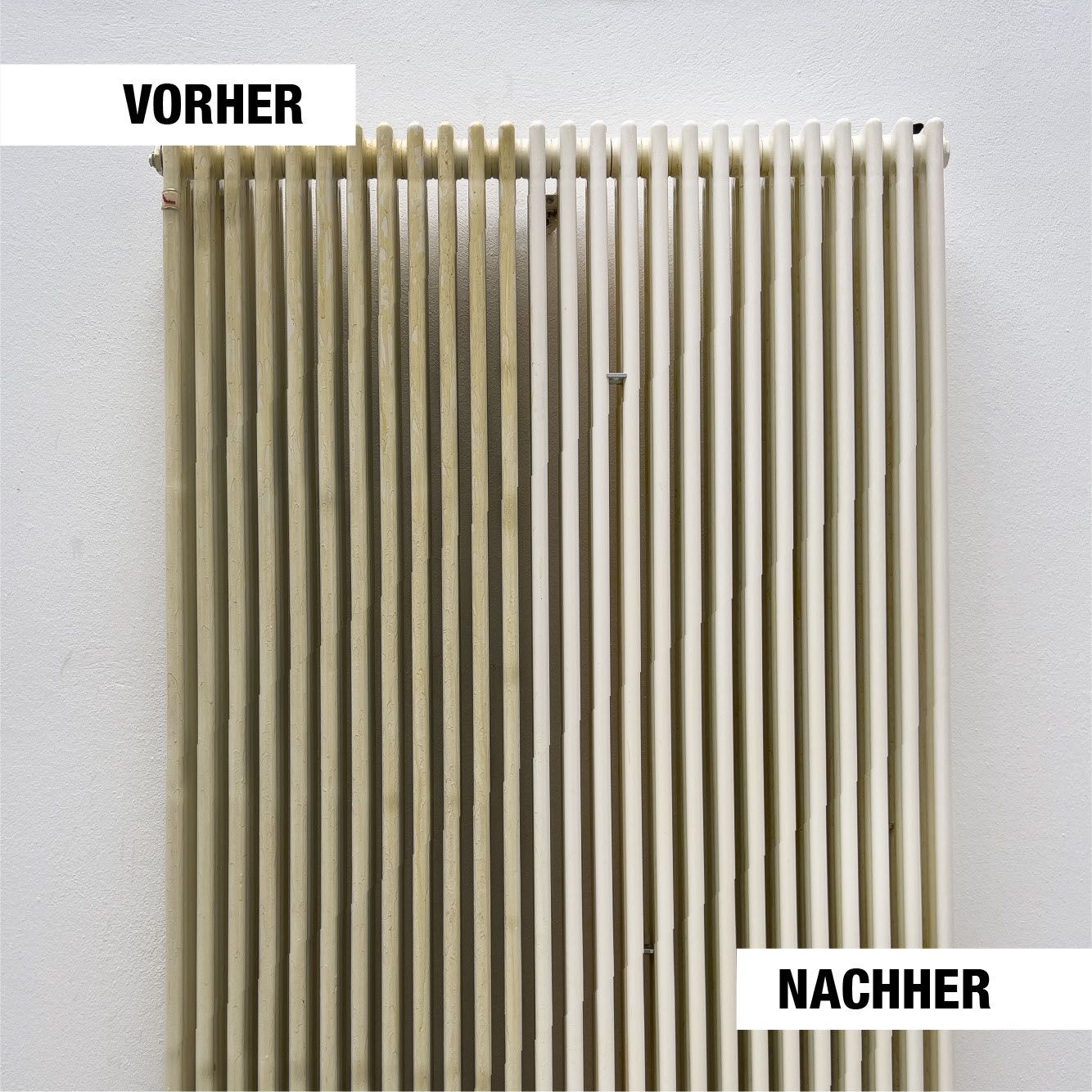 Bio-Chem Kunststoffreiniger