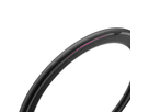 P Zero Race Italy / black/fucsia / 700x26c