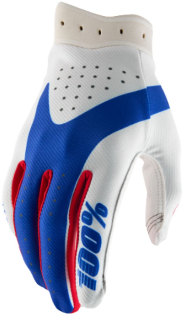 ITRACK Gloves / blue/white / L