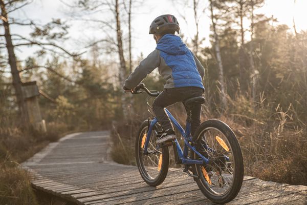 JETT 20 SINGLESPEED Kinder- und Jugendvelo / gloss cobalt ice blue / 20 ZOLL