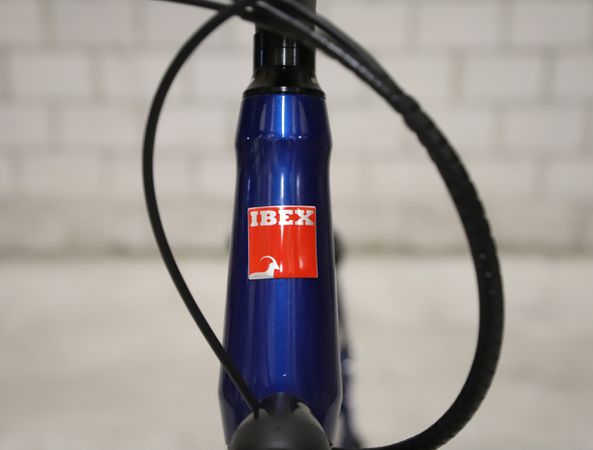 DAILY QUEST Pinion City- und Alltagsvelo / saphir blau glanz / 53 CM