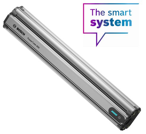 Bosch PowerTube 38YY / silber / BBP3860, 16.7 Ah, 600 Wh, 424x67x71 mm, 3000 g