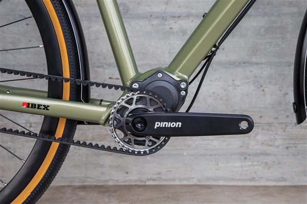 DAILY QUEST Pinion City- und Alltagsvelo / grün / 58 CM