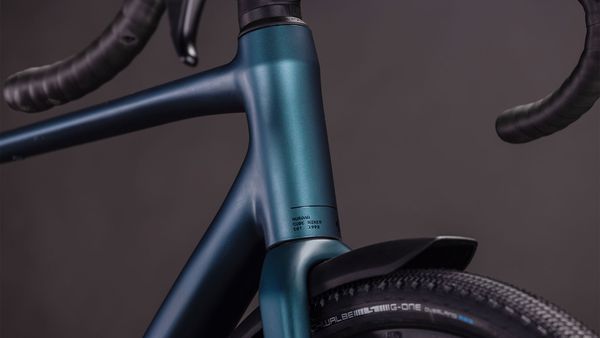 NUROAD RACE FE Gravelbike / royalgreen / XL
