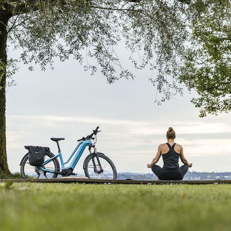 GOROC 2 2.10 E-City- und Alltagsvelo 25km/h / coast blue black matt / XL