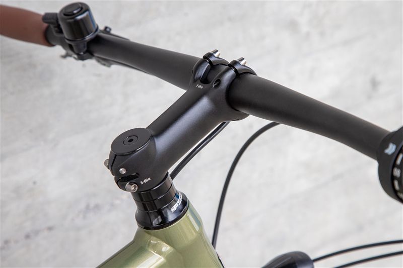 DAILY QUEST Pinion City- und Alltagsvelo / grün / 58 CM