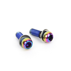 Caliper Mounting Hardware Stainless Rainbow (Std)