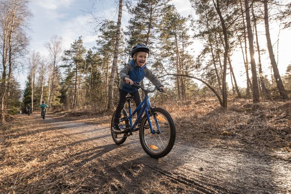 JETT 20 SINGLESPEED Kinder- und Jugendvelo / gloss cobalt ice blue / 20 ZOLL