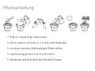 Growing Paper Karte Velo / gelb