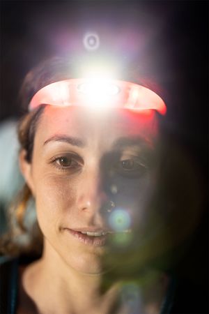 Stirnlampe Bandicoot Run 250 / grape