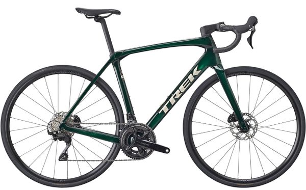 DOMANE SL 5 GEN 4 Rennvelo / ivy smoke / 50 CM