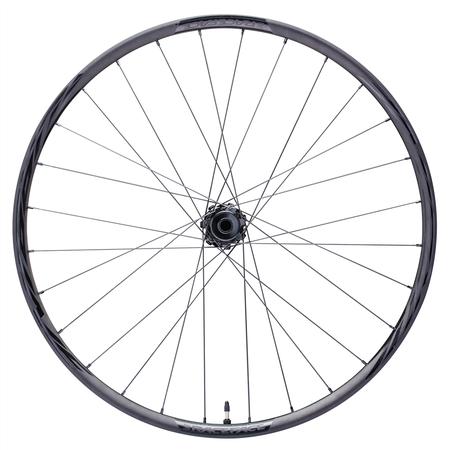Turbine-R 35 MTB CLN Front Wheel 15X110-B / black / 29"