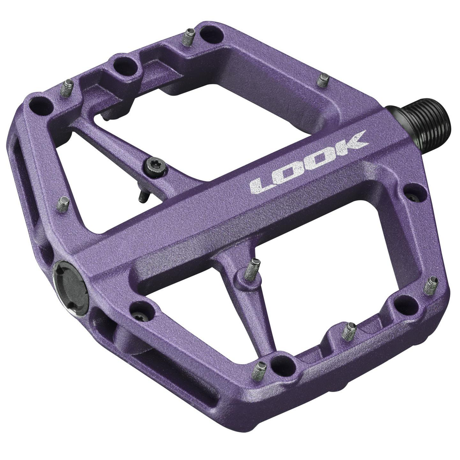 TRAIL ROC / night purple