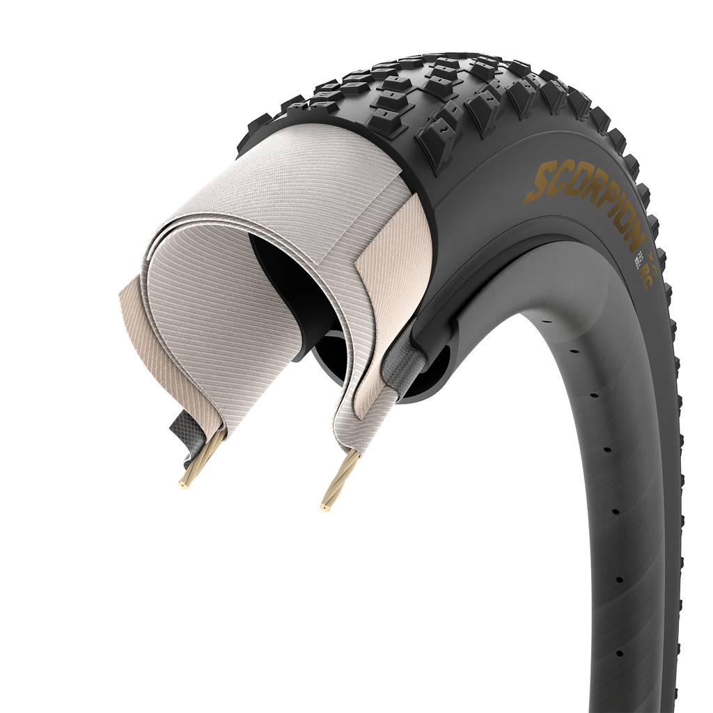 Scorpion XC RC ProWall / black/gold / 29x2.40