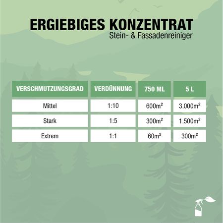 Bio-Chem Stein- und Fassadenreiniger