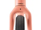 CHECKPOINT ALR 4 GEN 3 Gravelbike / Living Coral / S