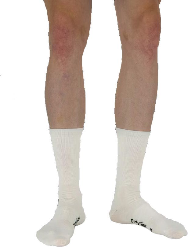 SUMMER ELITE PURE Merino-Velosocken / white / L=44-47