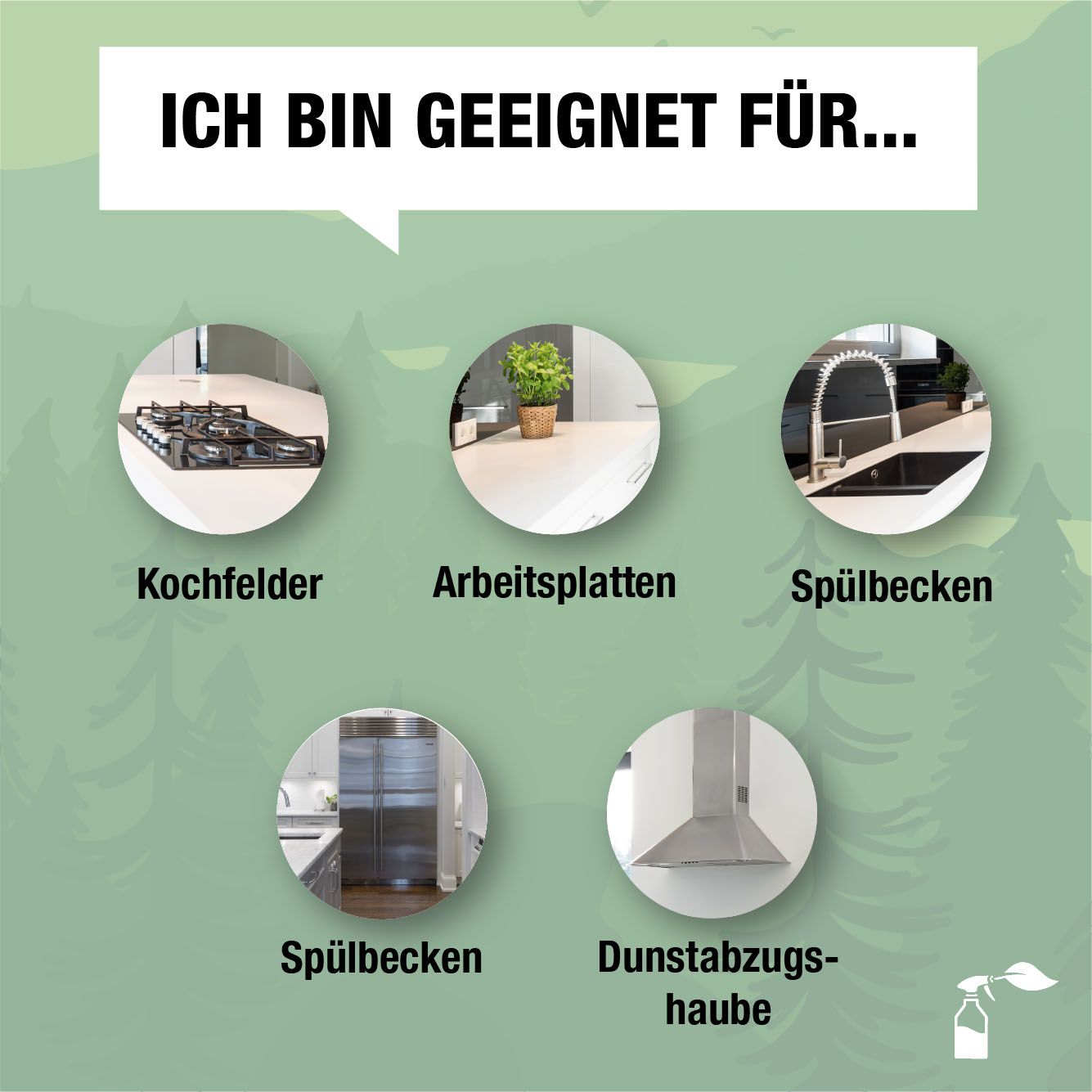 Bio-Chem Küchenreiniger