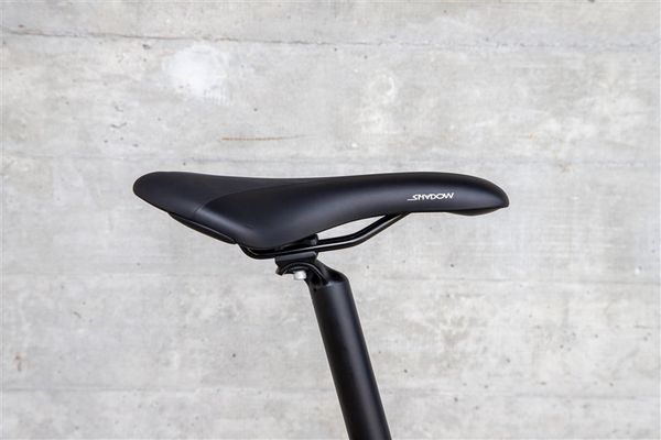 DAILY QUEST Pinion City- und Alltagsvelo / grün / 58 CM