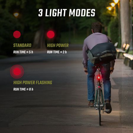 Sigma Lichtset Buster 150 FL & Nugget II Flash / schwarz