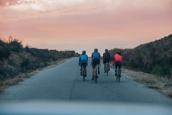 DIVERGE COMP CARBON Gravelbike / satin olive oak chrome wild / 56 CM